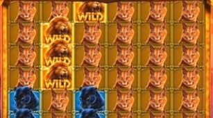 Wild Cats Multiline max win video 0