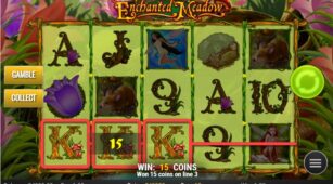 Enchanted Meadow demo play free 1