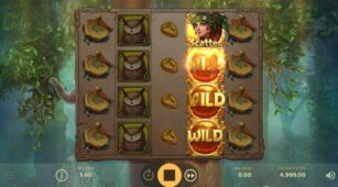 Druids Dream demo play free 1