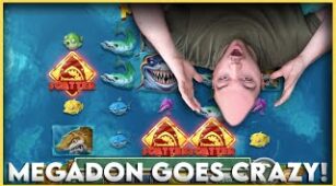 Mega Don max win video 1