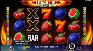 Hot To Burn Hold And Spin demo play free 0