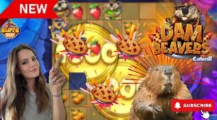 Dam Beavers max win video 0