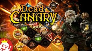 Dead Canary max win video 0
