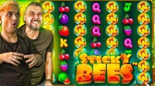 Sticky Bees max win video 1