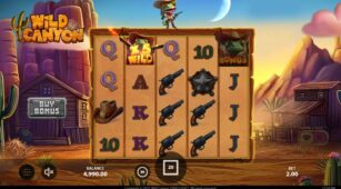 Wild Canyon demo play free 2