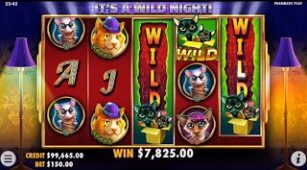 The Catfather Part II max win video 0