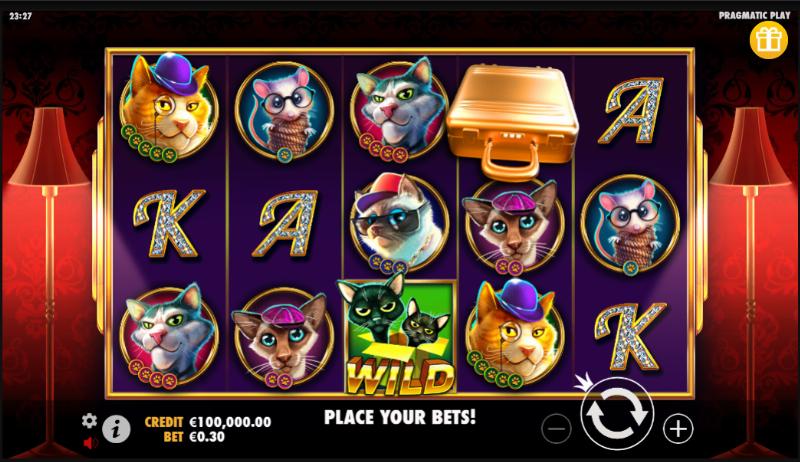 The Catfather Part II