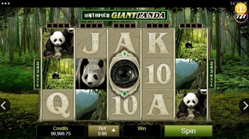 Untamed Giant Panda