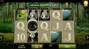 Untamed Giant Panda demo play free 0