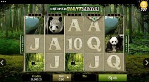 Untamed Giant Panda demo play free 3