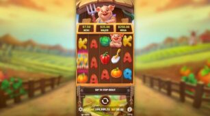 Pig Farm demo play free 0