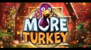 More Turkey max win video 1