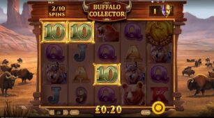Buffalo Collector demo play free 0