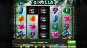 Gorilla demo play free 2