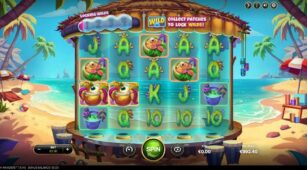 Beach Invaders demo play free 3