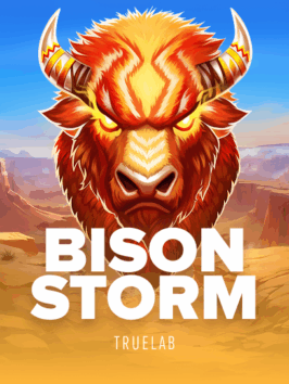 Bison Storm