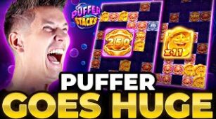 Puffer Stacks max win video 1