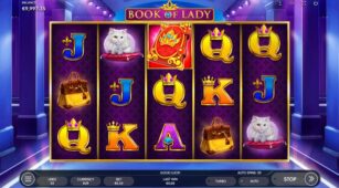 Book Of Lady demo play free 2