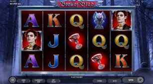 Book Of Vlad demo play free 3