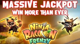 Ninja Raccoon Frenzy max win video 0