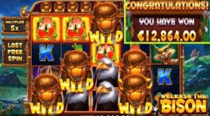 Release The Bison max win video 2
