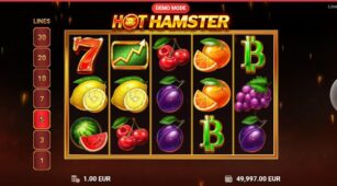 Hot Hamster demo play free 3