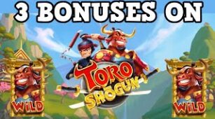 Toro Shogun max win video 0