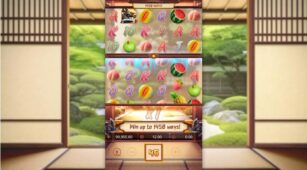 Ninja Raccoon Frenzy demo play free 1