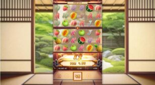 Ninja Raccoon Frenzy demo play free 3