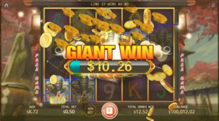 Ninja demo play free 2