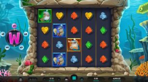 Shark Wash demo play free 1