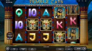 Temple Cats demo play free 0