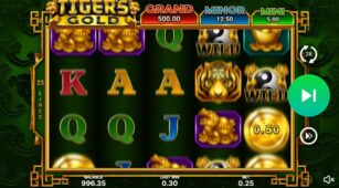 Tiger’s Gold: Hold And Win demo play free 1