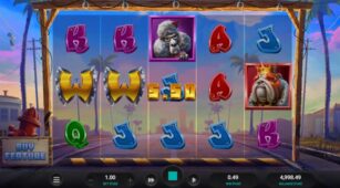 Top Dawg$ demo play free 1