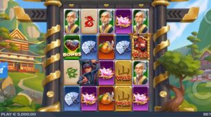 Toro Shogun demo play free 0