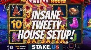 The Tweety House max win video 0