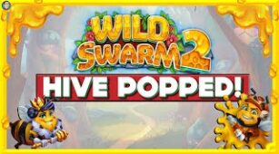 Wild Swarm 2 max win video 1