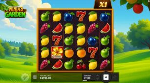 Ninja’s Garden demo play free 1