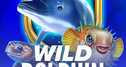 Wild Dolphins