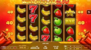 Wild Hot 40 Blow demo play free 0