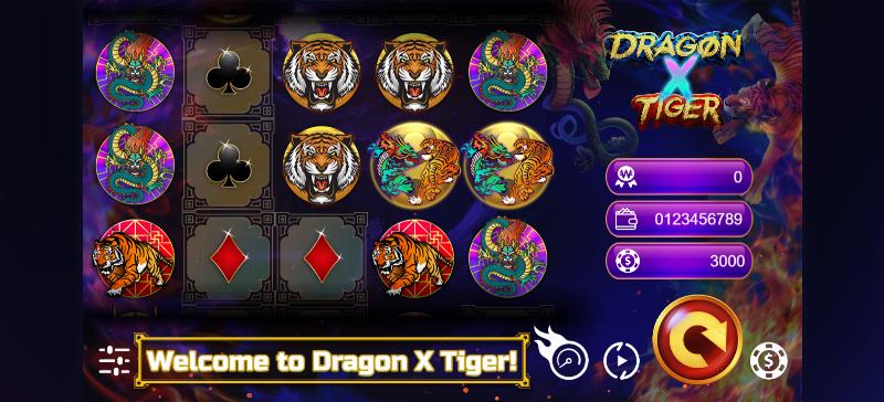 Dragon X Tiger
