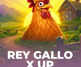 Rey Gallo X UP