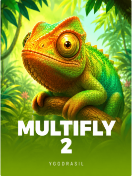 Multifly 2