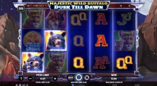Majestic Wild Buffalo – Dusk Till Dawn demo play free 1