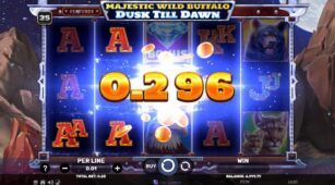 Majestic Wild Buffalo – Dusk Till Dawn demo play free 3