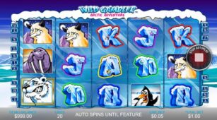 Wild Gambler – Arctic Adventures demo play free 0