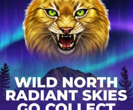 Wild North Radiant Skies Go Collect