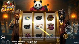 3 Power Bears demo play free 0