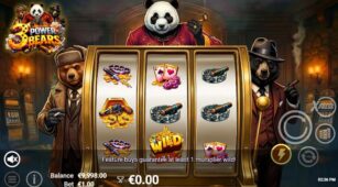3 Power Bears demo play free 2
