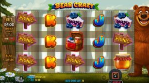 Bear Crazy demo play free 0